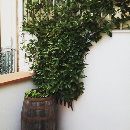 Il Terrazzino Sul Kemonia Apartment Palermo Bagian luar foto