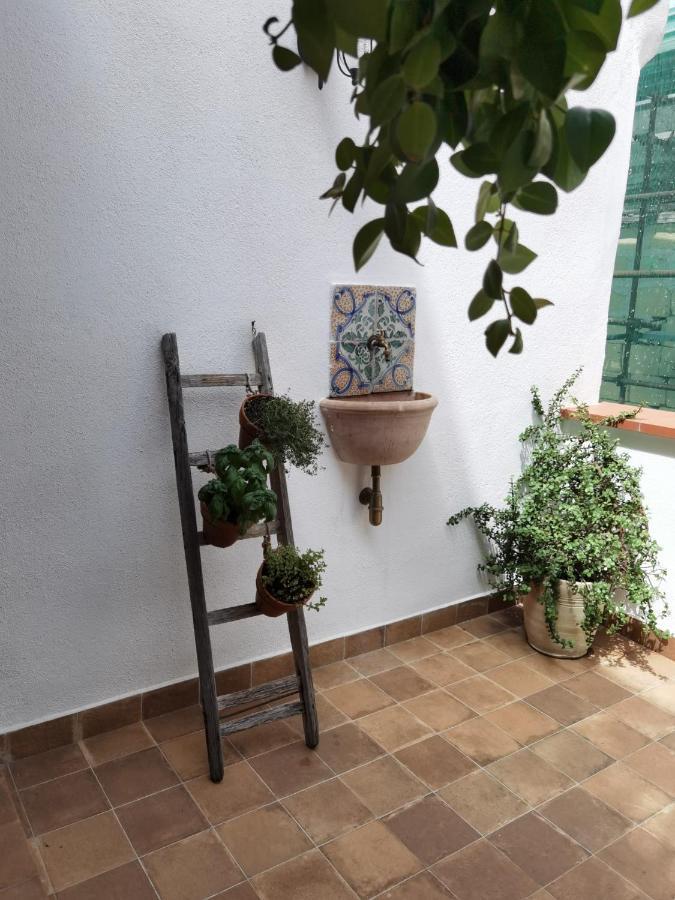 Il Terrazzino Sul Kemonia Apartment Palermo Bagian luar foto