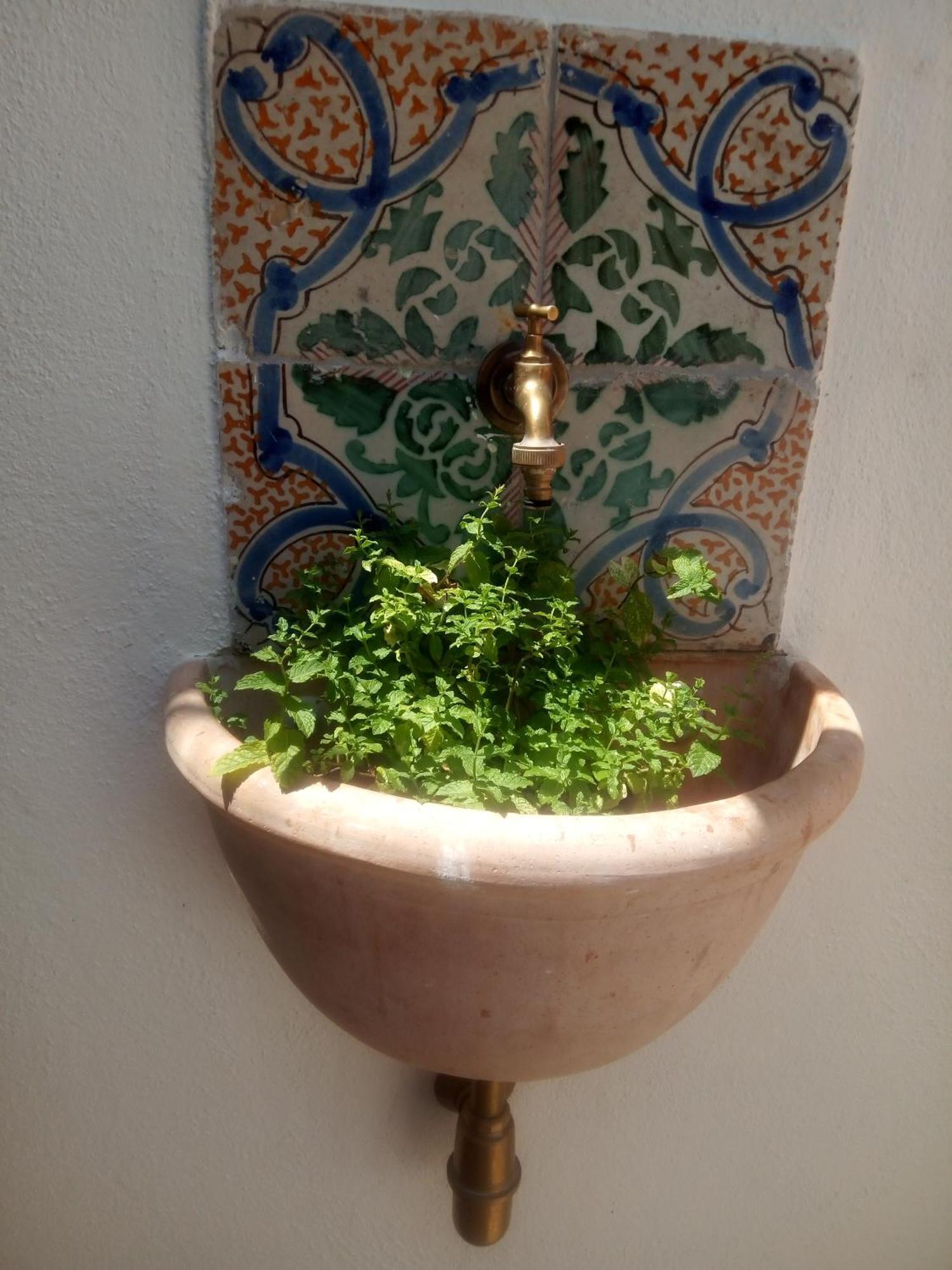 Il Terrazzino Sul Kemonia Apartment Palermo Bagian luar foto